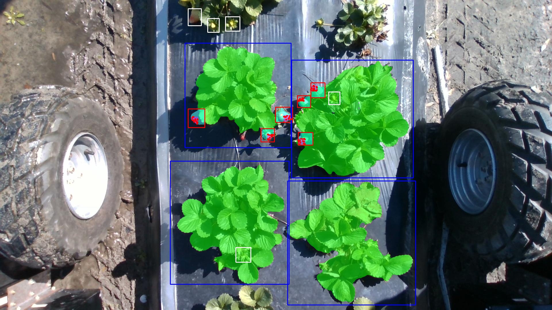 Overview of the annotation-free segmentation pipeline