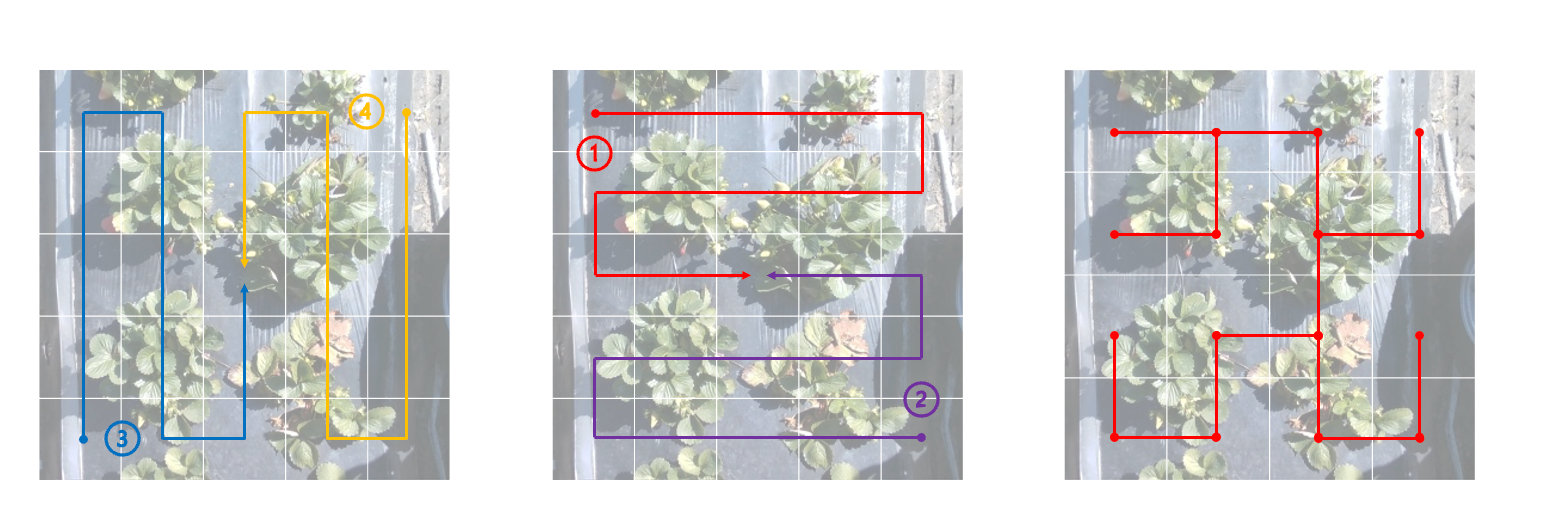 Field deployment scan visualization