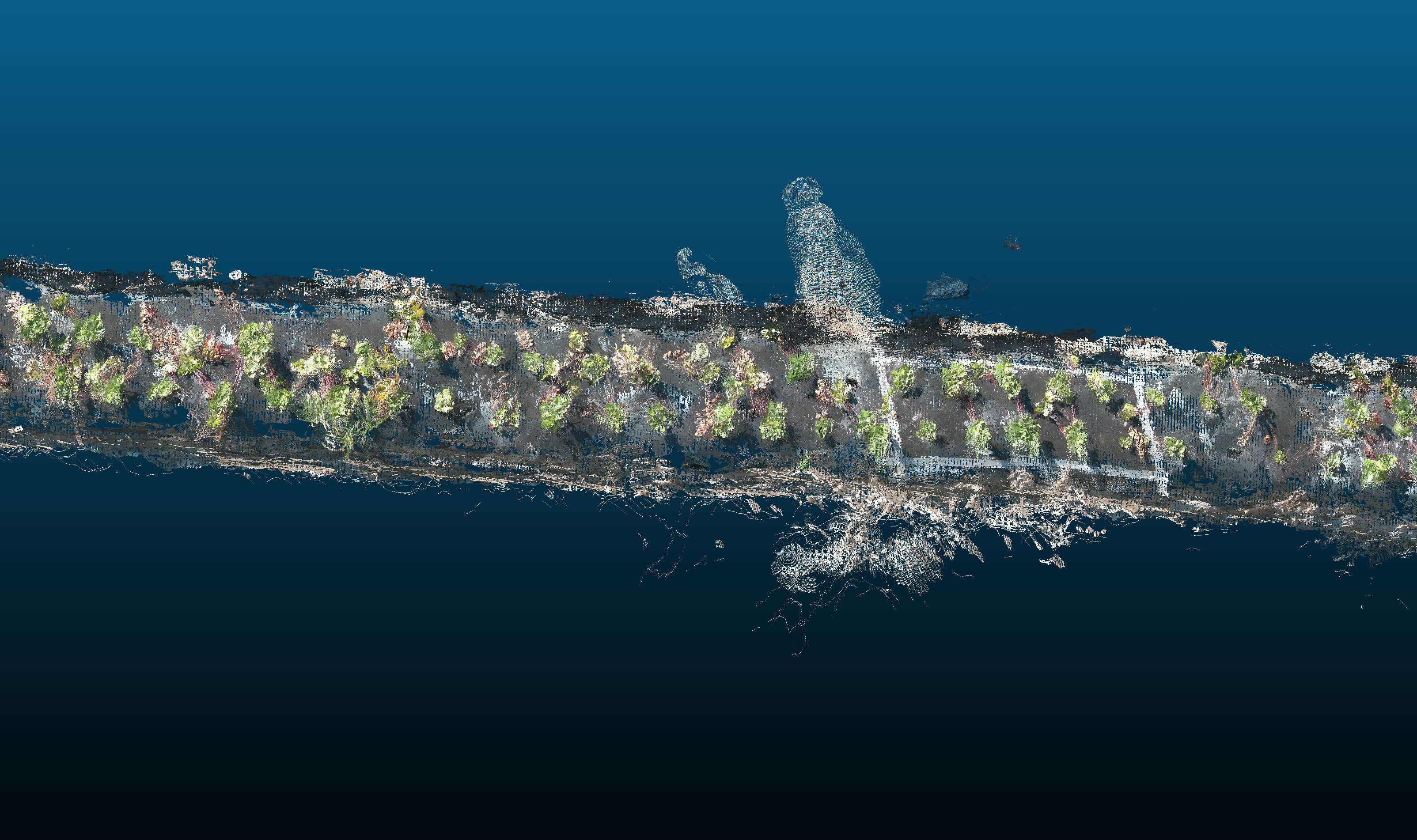 VGGT detail around irrigation fixtures