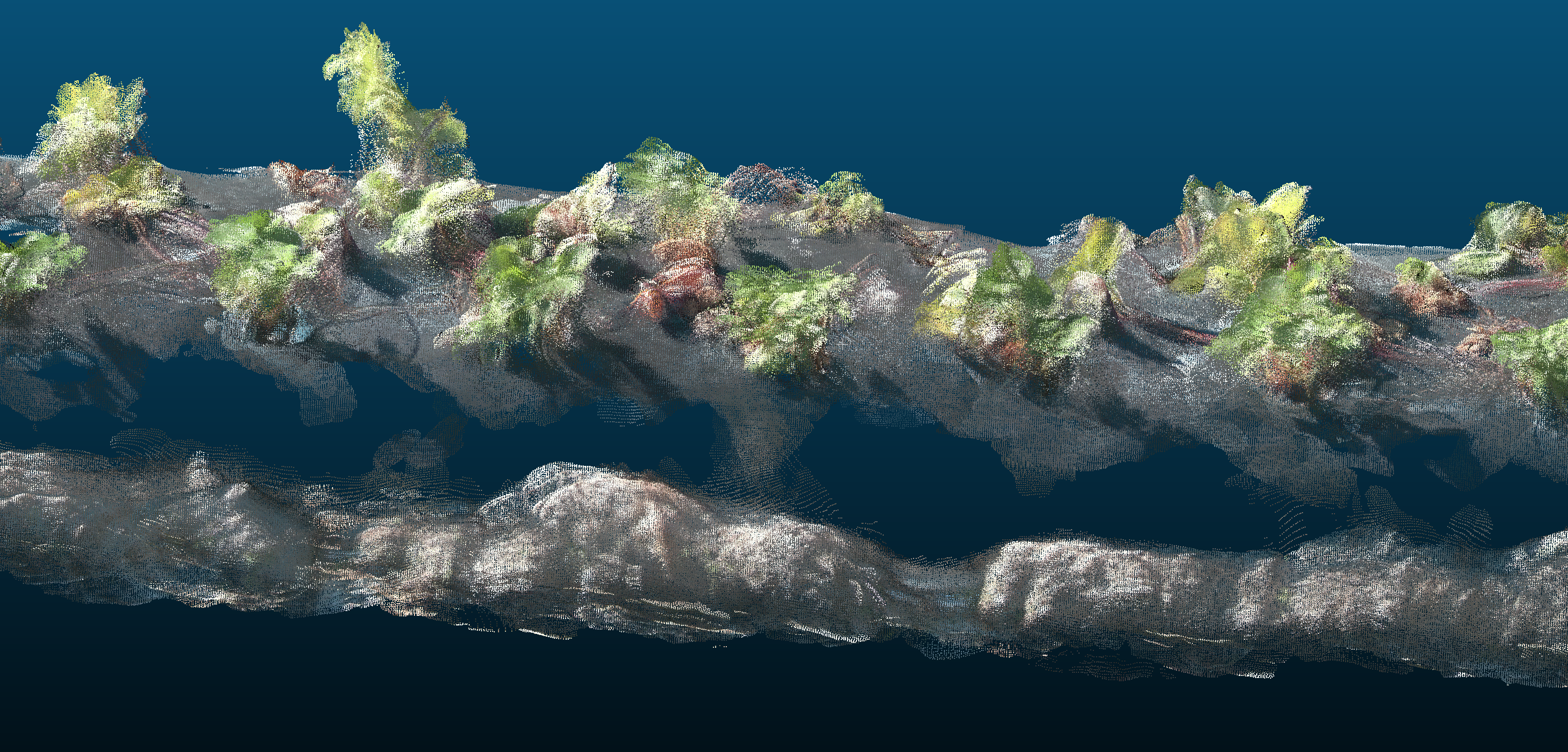 Row centerline reconstruction detail